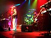 The original Family Stone in concert, November 2006