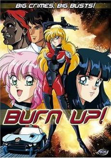 Brulvundo Up DVD Cover.jpg