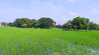 <span class="mw-page-title-main">Chitarkoni</span> Village in Uttar Pradesh, India