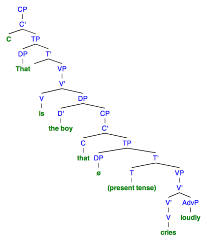 Sentence 3A: This syntactic tree of the sentence "That is the boy that cries loudly" demonstrates the structure when there is no resumptive pronoun used. To denote a null category, "o" is used. Resumptive Pronouns Sentence 4a.png