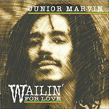 Resultado de imagem para Junior Marvin - Wailin' for Love 2007