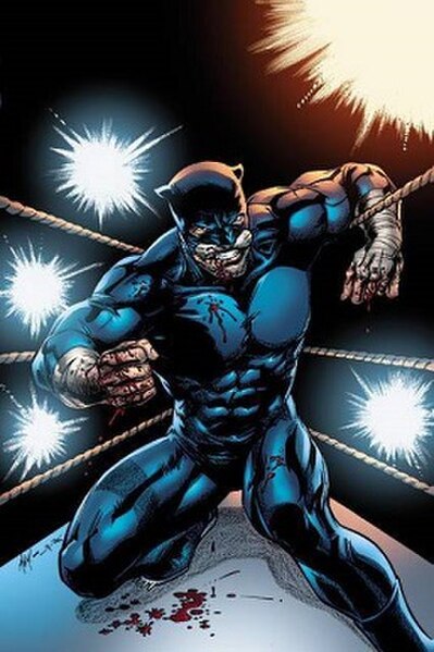 Wildcat as depicted in JSA Classified #27 (August 2007). Art by Matt Haley and Jerome Moore.