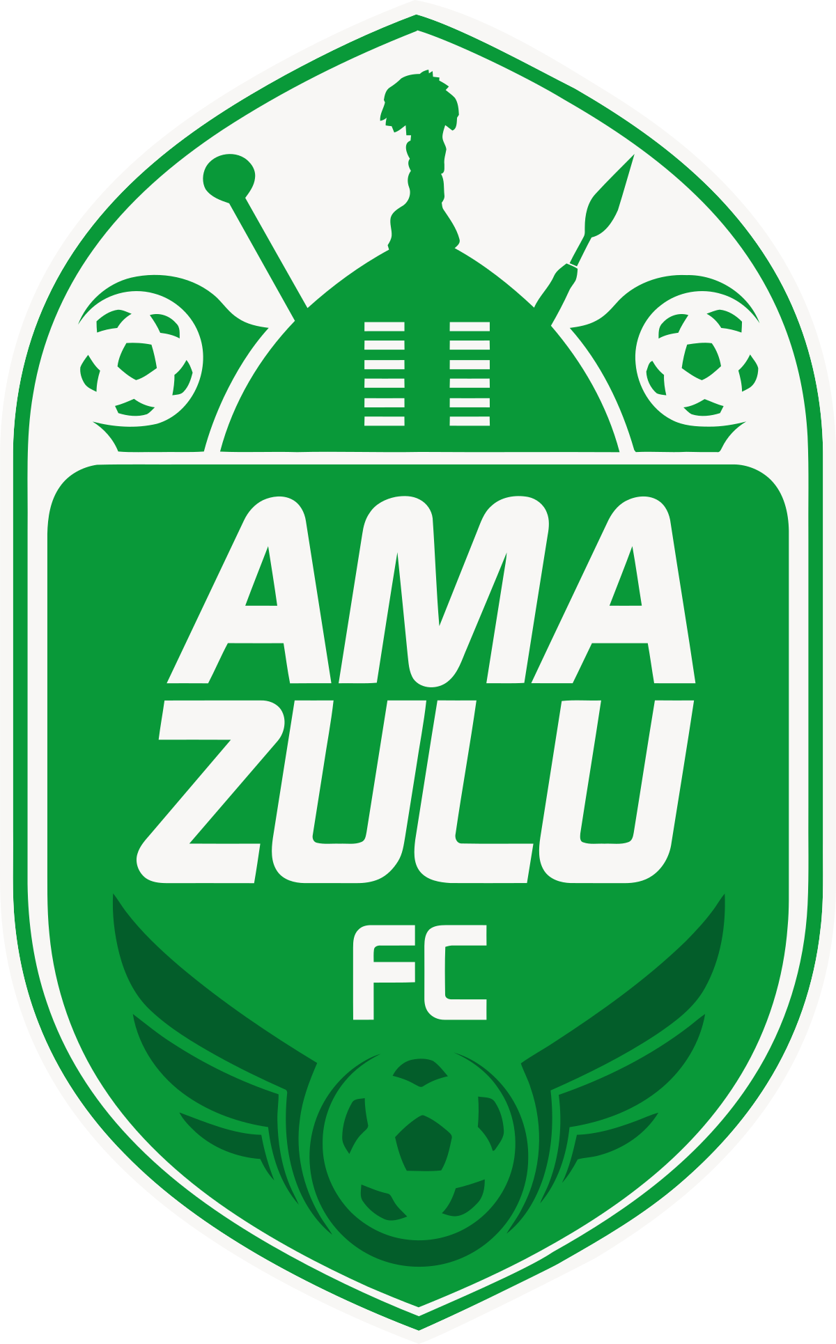 amazulu new kit