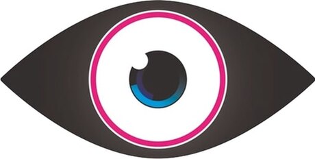 Celebrity Big Brother (British TV series) series 9