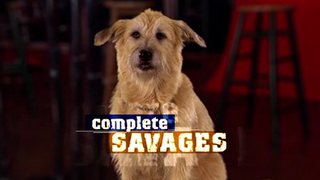 <i>Complete Savages</i> American television sitcom