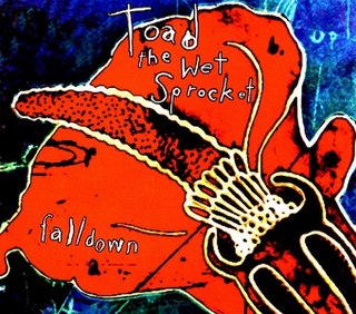 Fall Down (Toad the Wet Sprocket song) 1994 single by Toad the Wet Sprocket