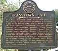 Brasstown Bald Historical Marker -1.JPG