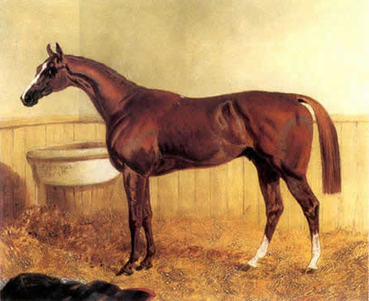 Большой конь 1846 года. Джон Фредерик Херринг старший картины. Конь в 1846 году. Конь родившийся в 1846 году. Фредерик великолепный конь.