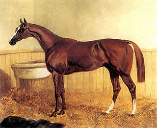 <span class="mw-page-title-main">Pyrrhus The First</span> British-bred Thoroughbred racehorse