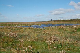 View of the marsh, Little Neston Littlenestonmarshland.jpg