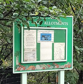 Park Road Allotments