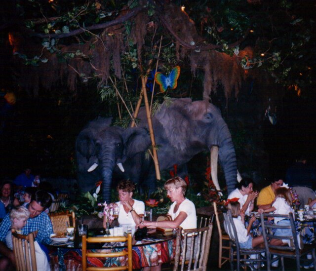 Rainforest Cafe, Princess Pictures Wiki