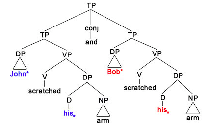 File:Sloppy centering tree.tiff