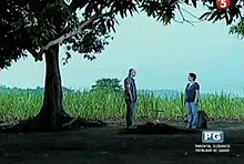 Damian and Donya Trining on Leona's burial. Damian and Donya Trining confrontation scene.jpg