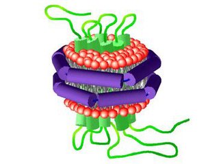 <span class="mw-page-title-main">Nanodisc</span> Synthetic model membrane system