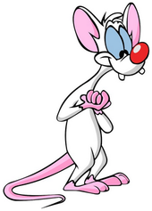 Pinky and the Brain - Wikipedia