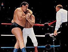 Andre the Giant vs. Big John Studd WMandre.jpg