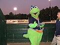 Thumbnail for Vermont Lake Monsters