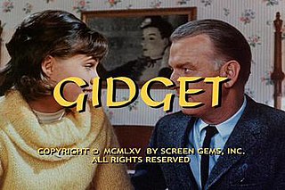 <i>Gidget</i> (TV series) American TV series or program