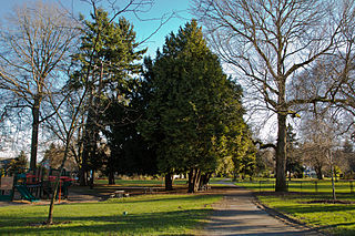 Roanoke Park (Seattle) historic district in Seattle