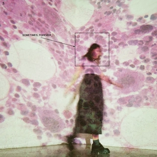 <i>Sometimes, Forever</i> 2022 studio album by Soccer Mommy