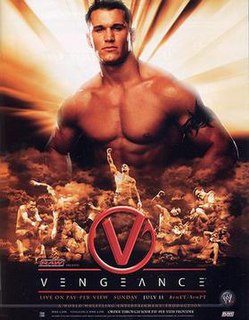<span class="mw-page-title-main">Vengeance (2004)</span> World Wrestling Entertainment pay-per-view event