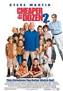 <i>Cheaper by the Dozen 2</i> 2005 film