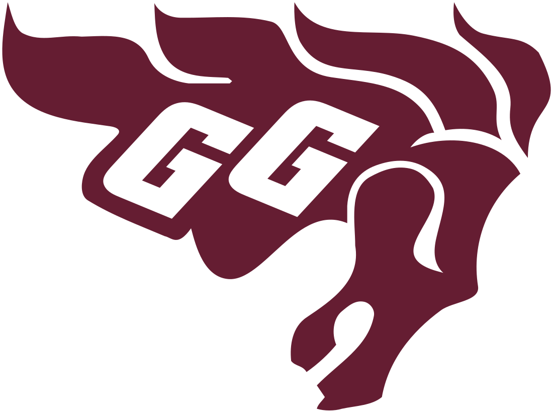 Ottawa Gee-Gees football