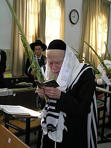 Rabbi Aryeh Finkel.jpg