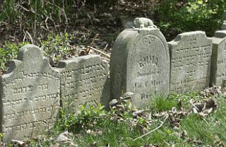 <span class="mw-page-title-main">Israel Benevolent Society Cemetery</span> Jewish cemetery in Pennsylvania, USA