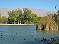 Thumbnail for Floyd Lamb Park at Tule Springs