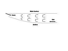 Vertically Homogeneous Estuary Vertically Homogeneous Estuary.JPG