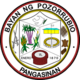 Official seal of Pozorrubio