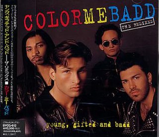 <i>Young, Gifted & Badd: The Remixes</i> 1992 remix album by Color Me Badd