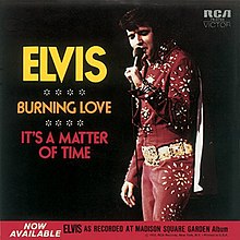 Elvis Burning Love PS.jpg