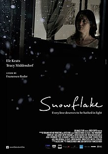 Schneeflocke 2014 poster.jpg