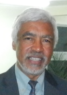 Stephan Narison Malagasy physicist