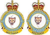 410squadron.jpg