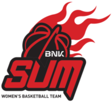 Logo Busan BNK Sum 부산 BNK 썸