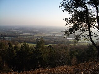 <span class="mw-page-title-main">Leith Hill</span> Hill in Surrey, England