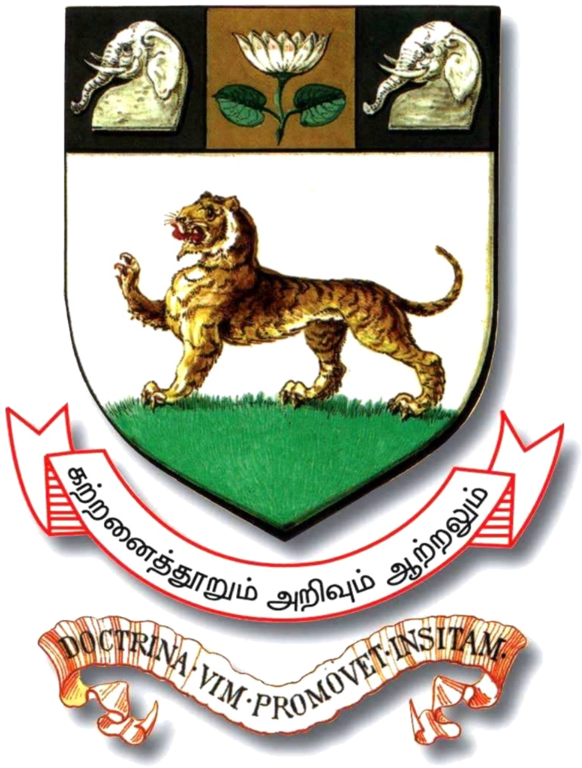 Anna University Regional Campus, Coimbatore, Coimbatore, Admission,  Courses, Fees, Placement