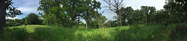 Coyote Creek- Wikipedia