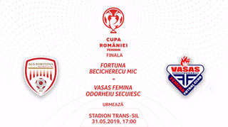 <span class="mw-page-title-main">2019 Cupa României Final (women's football)</span> Football match