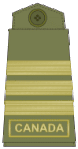 Olive green uniforms (old insignia)