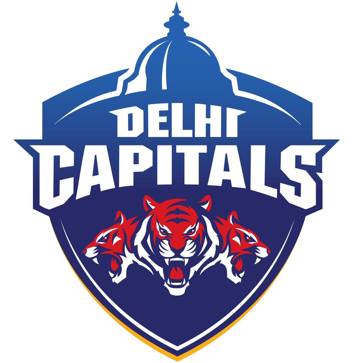 India Delhi Premier League Standings