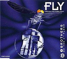 Fly (Yıldızlı Gece) .jpg