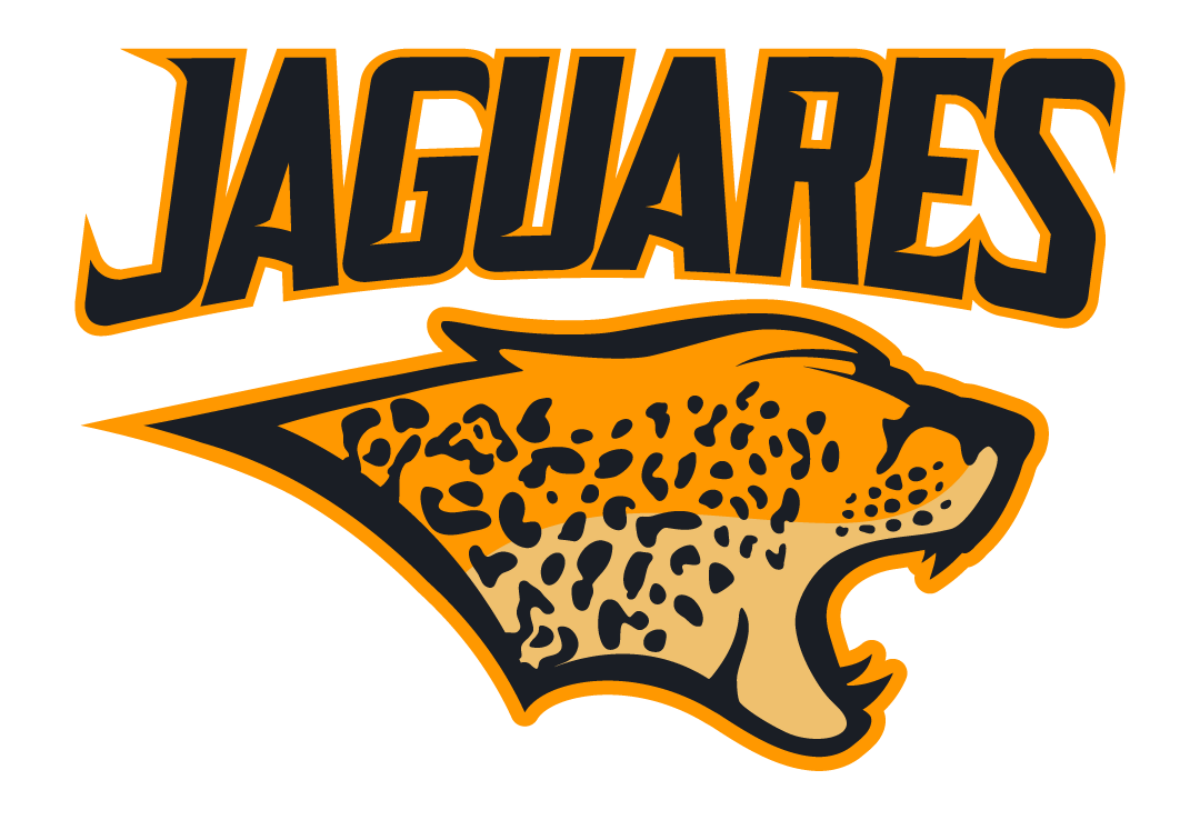 jaguares rugby kit