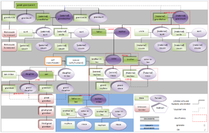Family chart showing relatives who, in Islamic Sharia law, would be considered mahrim (or maharem): unmarriageable kin with whom sexual intercourse would be considered incestuous Mahrams Chart.png