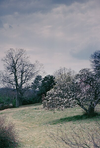 File:Maymont Park in the winter.jpg