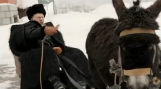 <span class="mw-page-title-main">Vladimir Zhirinovsky's donkey video</span> Election video